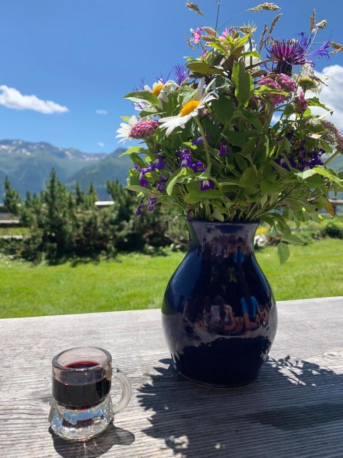 Haus Helga Apartment Lienz Bagian luar foto
