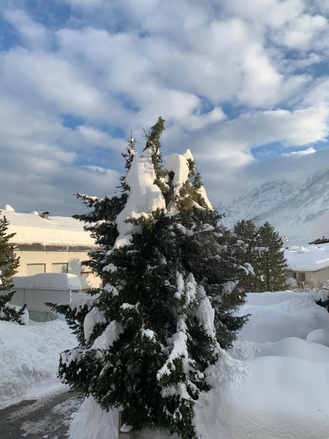 Haus Helga Apartment Lienz Bagian luar foto